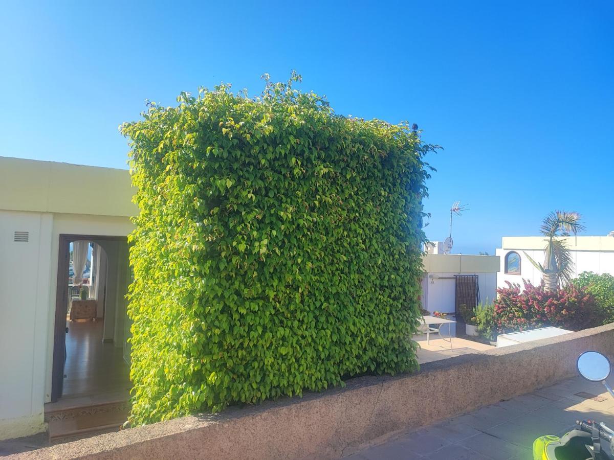 Casa Panorama 314 San Agustin Maspalomas Dış mekan fotoğraf
