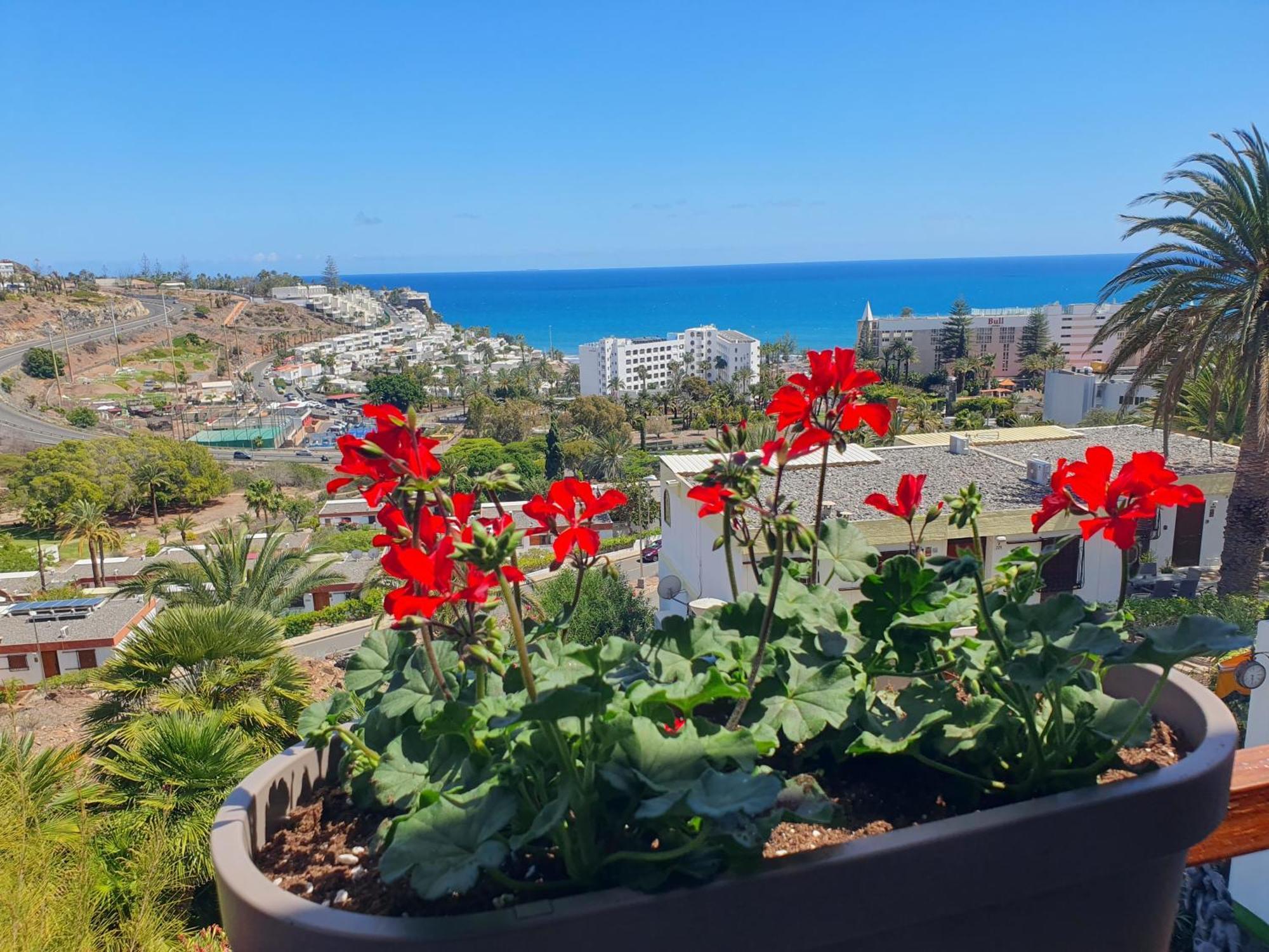 Casa Panorama 314 San Agustin Maspalomas Dış mekan fotoğraf